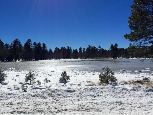 20151213_192658693_iOS